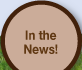 In The News